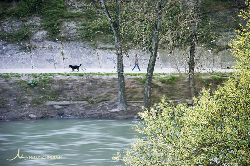 a woman walks with her black dog on the bike lane along the tiber river in rome italy