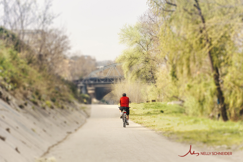 a man is riding his bike on the bike lane in rome nearby bridge ponte di ferro alongside the tiber river